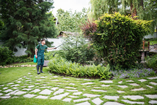 Best Commercial Pest Control Services  in Helotes, TX