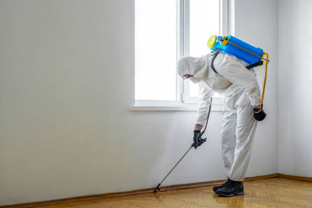 Insect Control in Helotes, TX