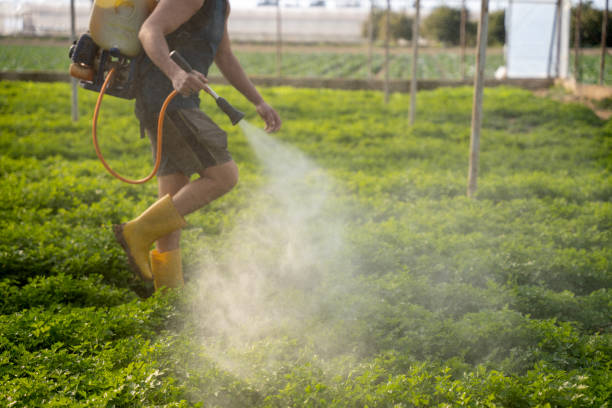 Best Pest Control Treatment  in Helotes, TX