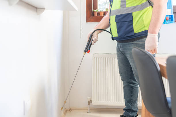 Best Pest Removal Services  in Helotes, TX
