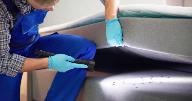 Best Rat Extermination Near Me  in Helotes, TX