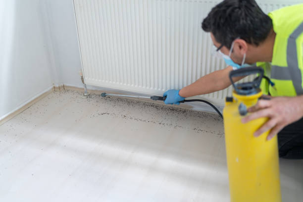 Best Cockroach Control Services  in Helotes, TX