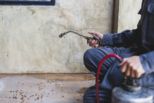 Best Mosquito Control Services  in Helotes, TX